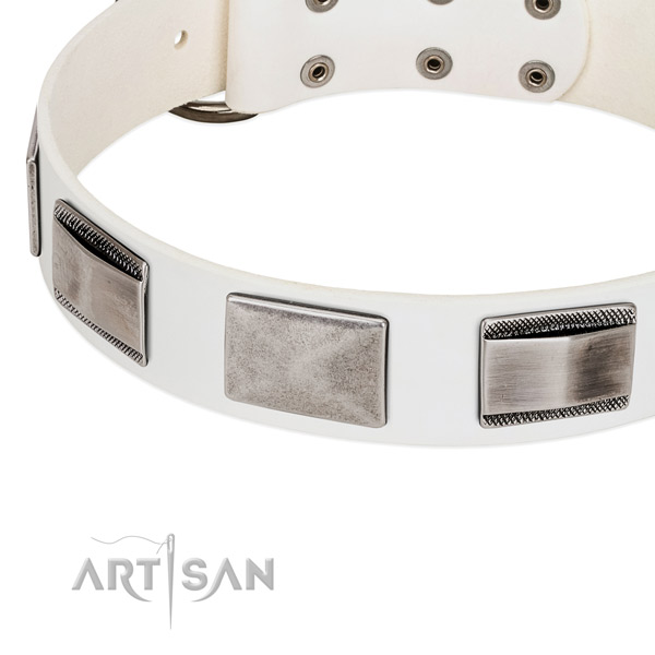 Modern leather dog collar with cool decorations