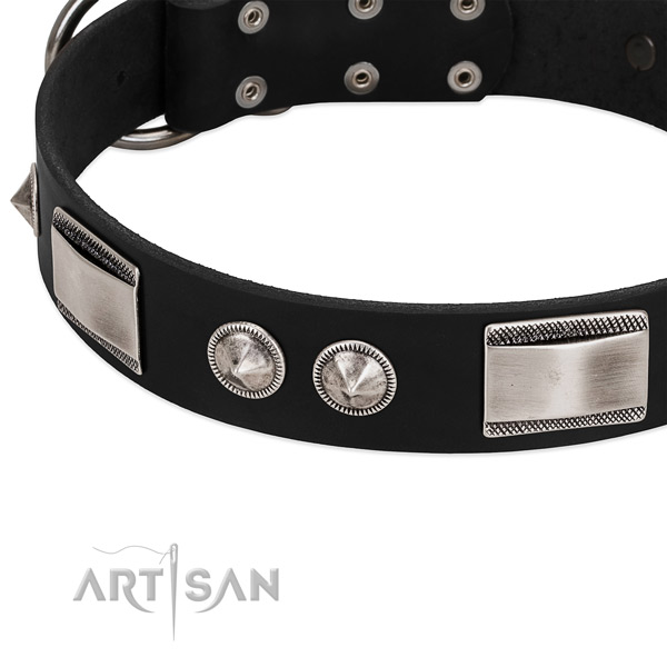 Modern black leather dog collar with cool decorations