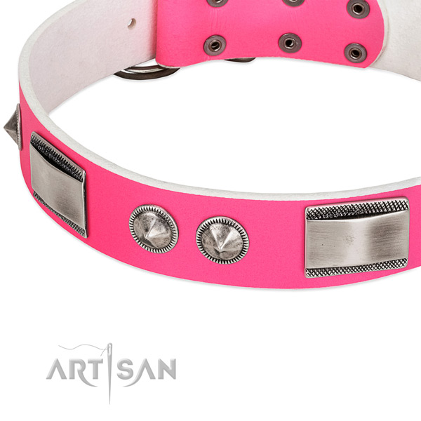 Modern leather dog collar with cool decorations