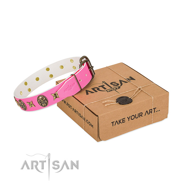 Stylish Dog Collar Adorned with Skulls and Stars