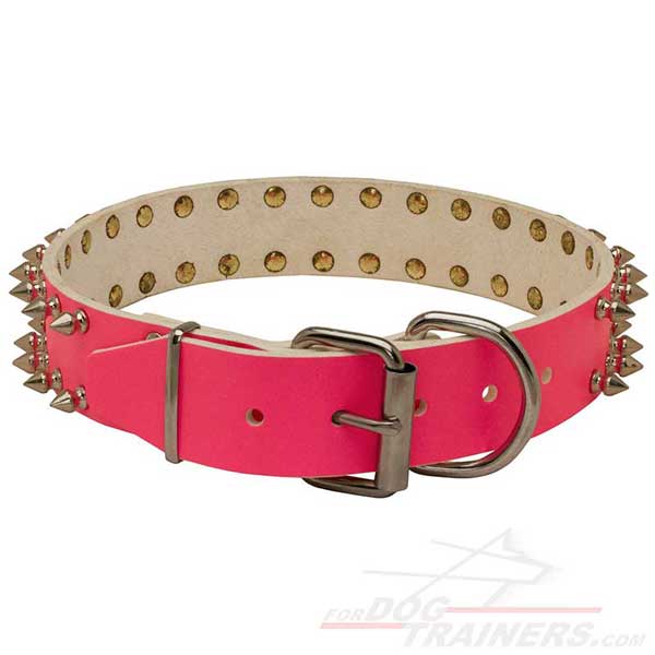 Leather Dog Collar with nickel hardware