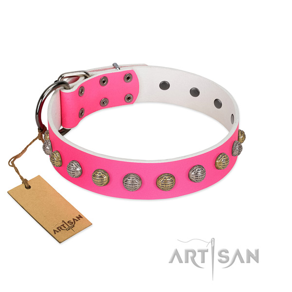 Elegant FDT Artisan leather dog collar