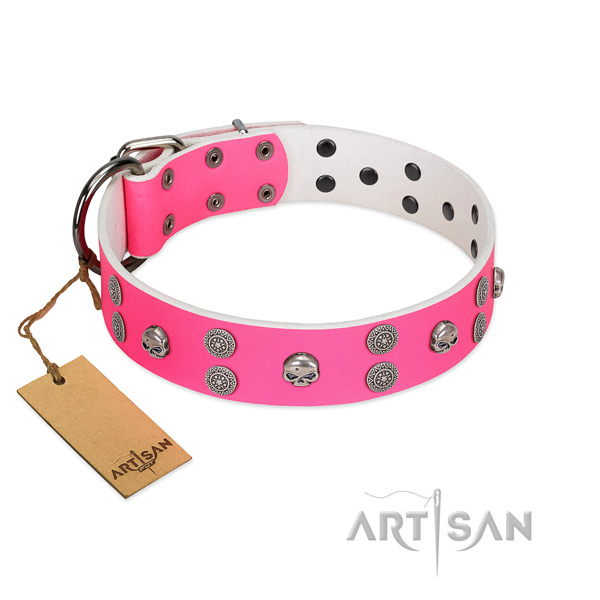 Fabulous FDT Artisan leather dog collar