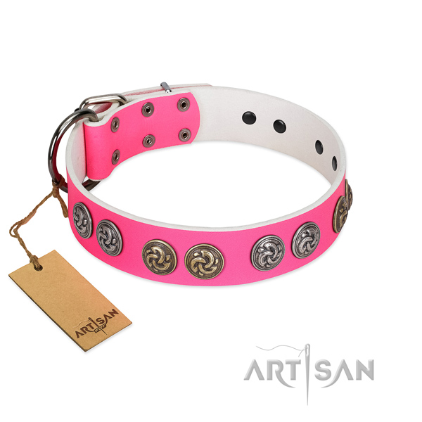 Fabulous FDT Artisan leather dog collar