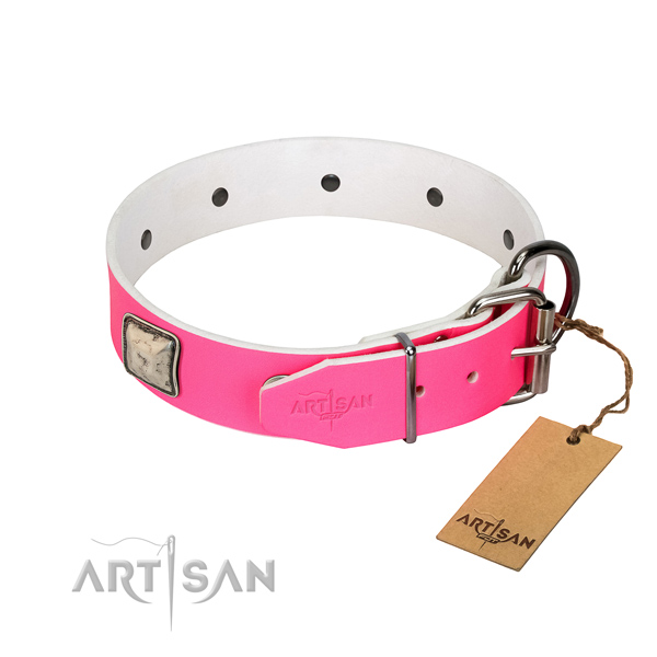 Studded leather dog collar with silver-like plated
fittings