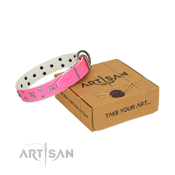 Modern FDT Artisan leather dog collar for walks