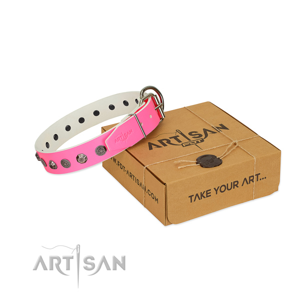 FDT Artisan leather dog collar for walks