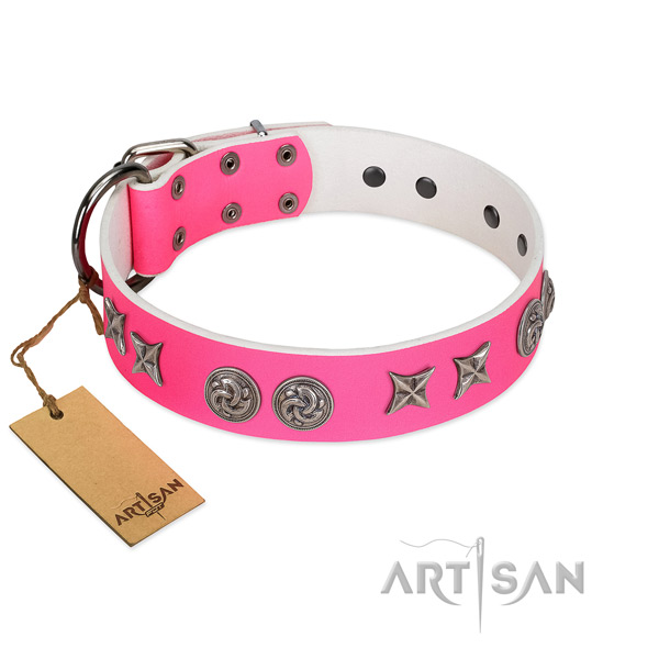 Fabulous FDT Artisan leather dog collar