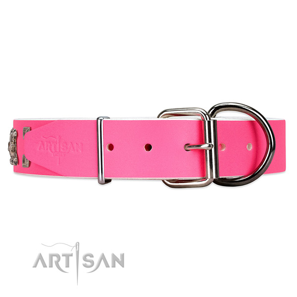 Leather dog collar with silver-like hardware