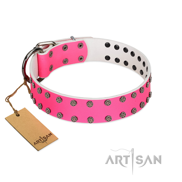 Fabulous FDT Artisan leather dog collar