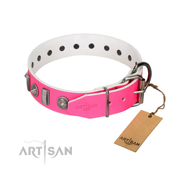 Studded leather dog collar with silver-like plated fittings