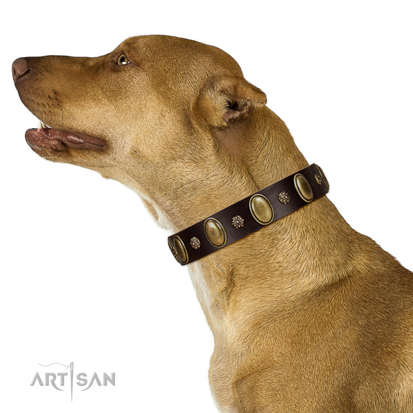 Super comfortable Bullmastiff Artisan leather collar of  optimal width