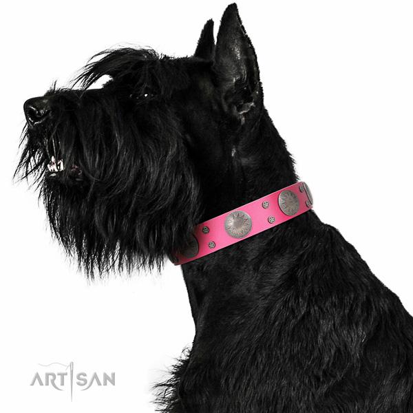 Artisan leather Riesenschnauzer collar for perfect control