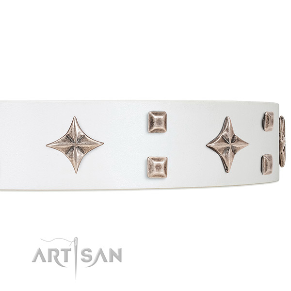 Premium quality white leather dog collar with attractive stars and studs