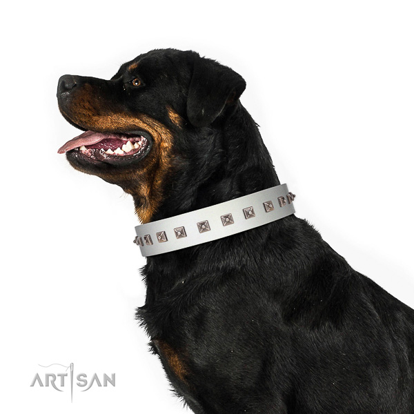 Walking top-notch quality walking leather Rottweiler collar