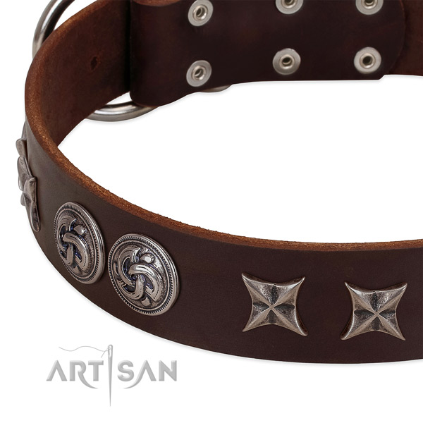 Brown leather dog collar with stylish decorations