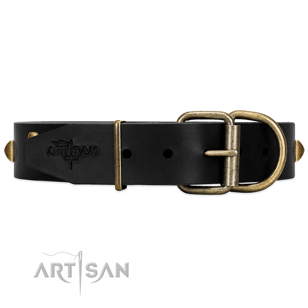 Reliable Hardware on Black Leather Dog Collar