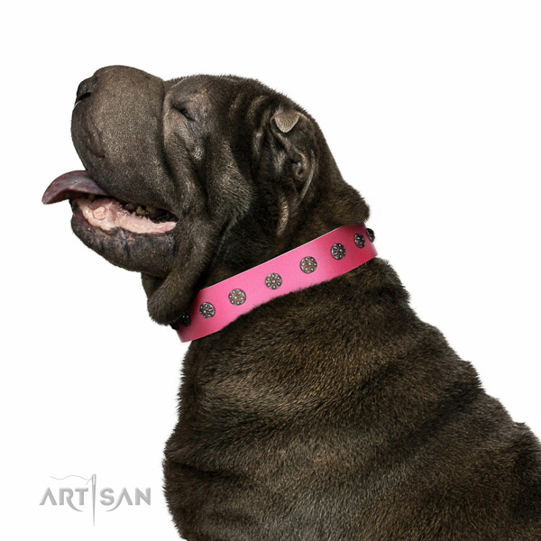 Extraordinary walking pink leather Shar-Pei collar with chic decorations