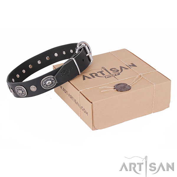 Designer Leather Dog Collar with Rustproof Adornment