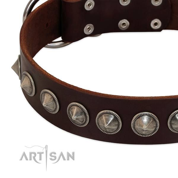 Brown leather dog collar with vintage decorations