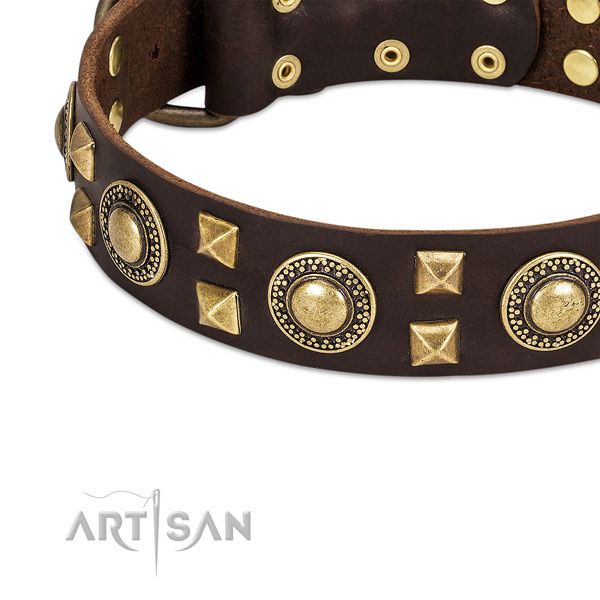 Modern leather dog collar with cool decorations