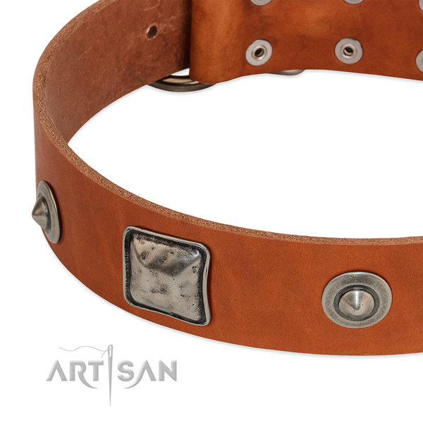 Natural leather dog collar with vintage decorations