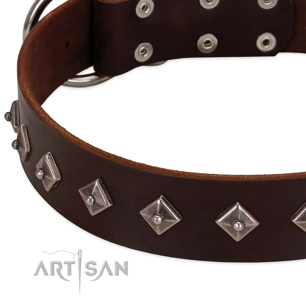 Brown leather dog collar with vintage decorations