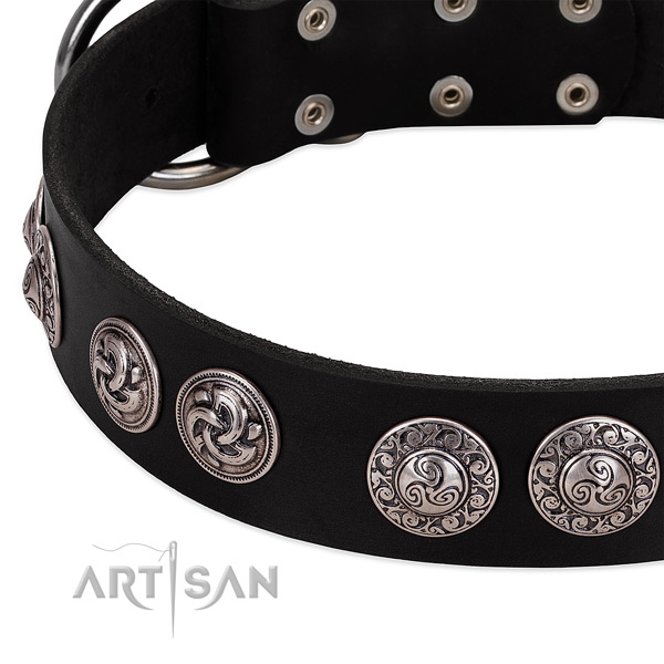 Black leather dog collar with prime decorations