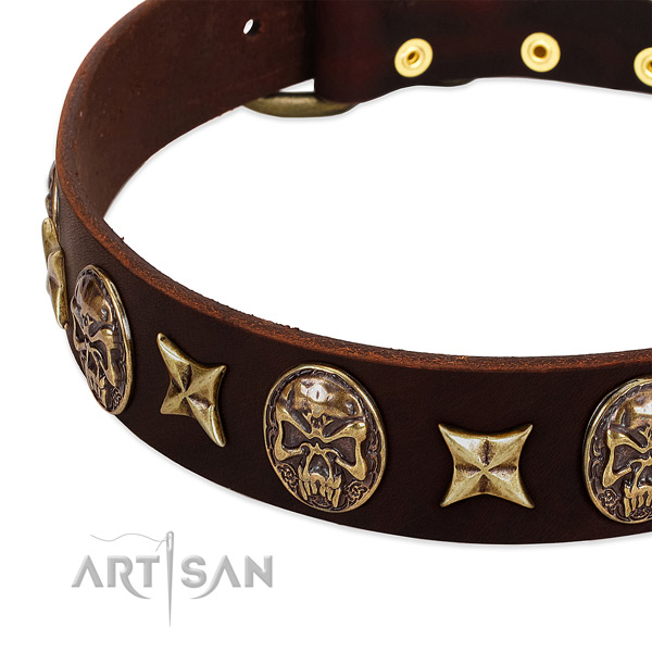 Old bronze-like stars and skulls on brown leather FDT Artisan collar