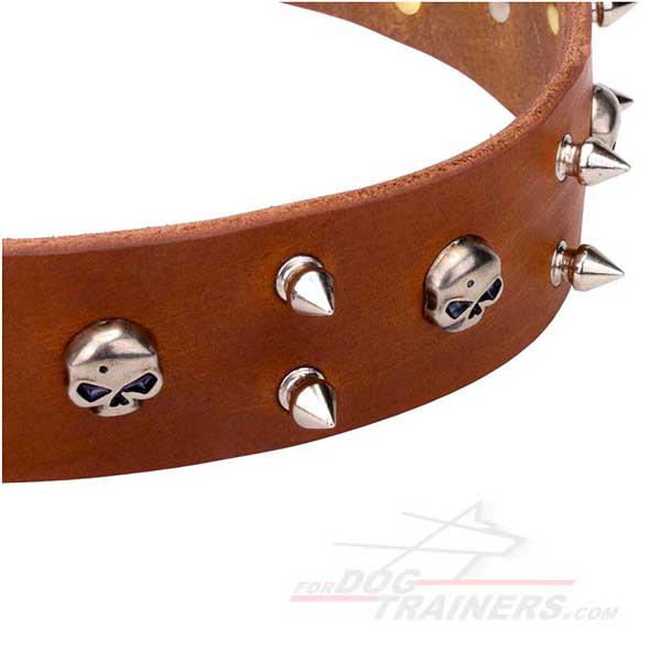 Silver-Like Decor on Tan Dog Collar