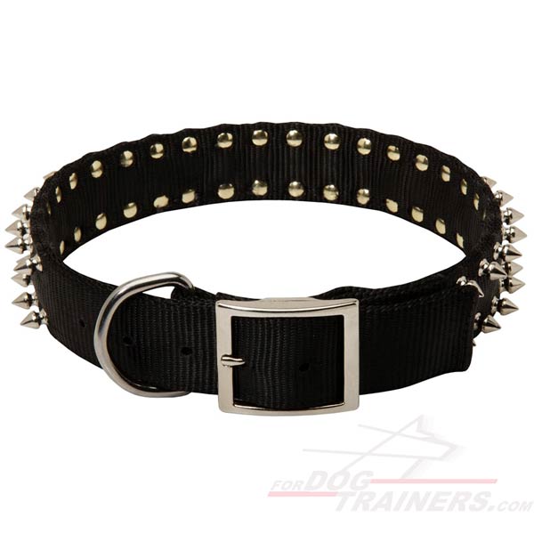 Spiked Nylon Dog Collar