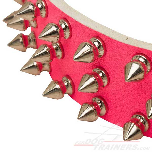 Walking Pink Leather Collar 