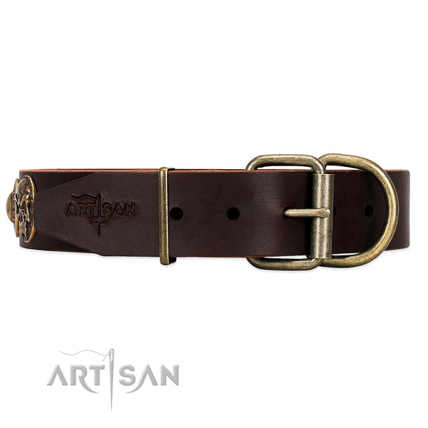 WAlking Dog Collar with Rust-proof Hardware