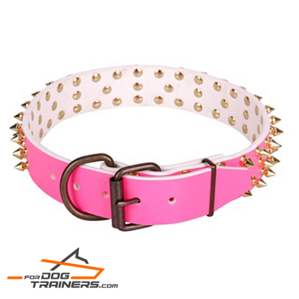 Studded leather dog collar with brass plated
fittings