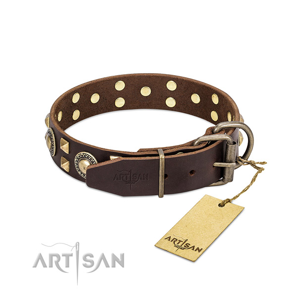 Reliable FDT Artisan leather dog collar