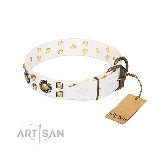 Reliable FDT Artisan leather dog collar