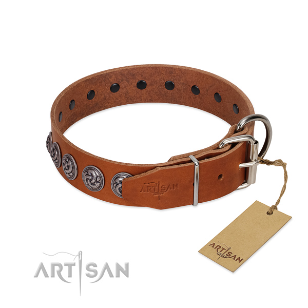 Waxed and Oiled Leather Dog Collar with Chrome-p lated Fittings