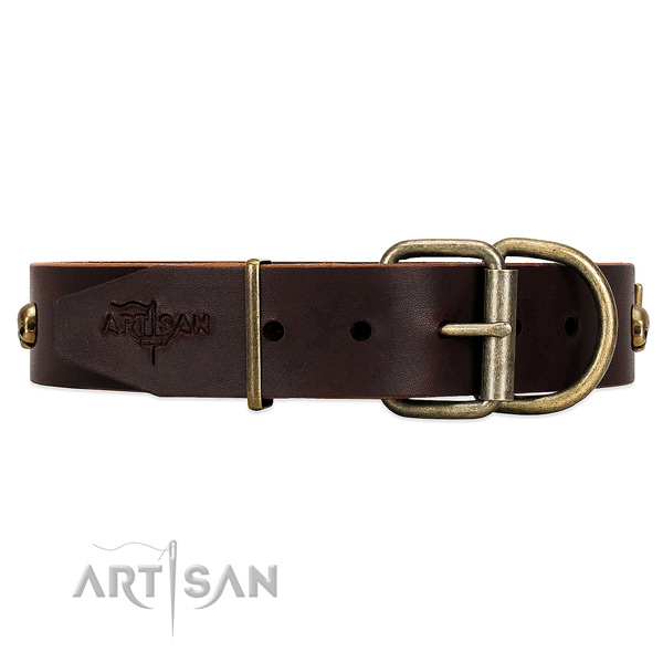 Brown Top Quality Dog Collar Finished with Rust Resistant Fittings