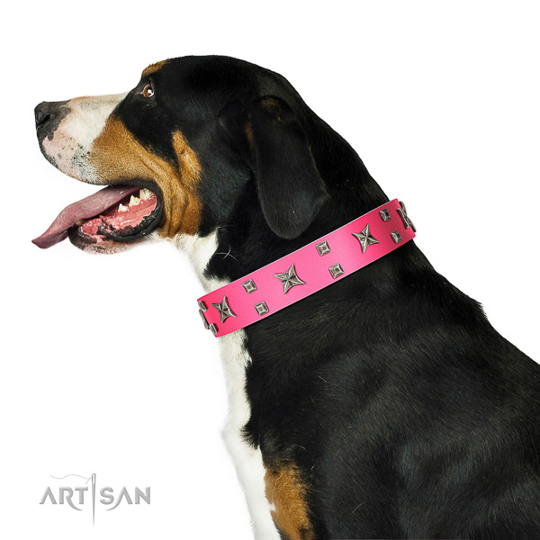 Extraordinary walking pink leather Swiss Mountain Dog collar with modern decorations