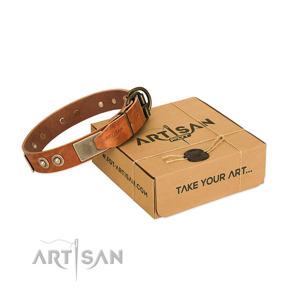 Top Quality Leather Dog Collar in Tan