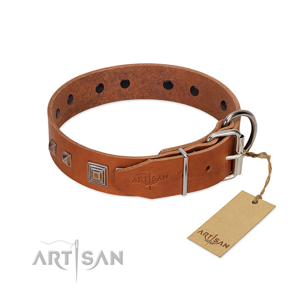 Soft tan leather dog collar with chrome plated buckle for easy fitting