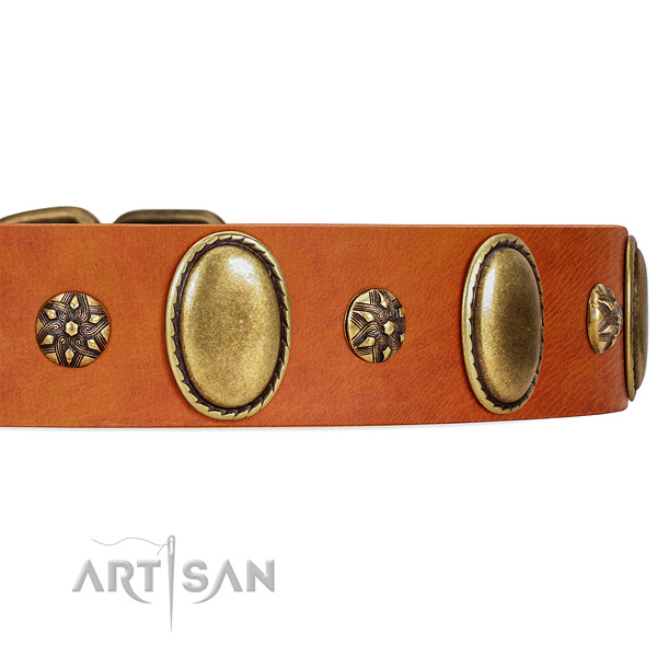 Decorated Tan Leather Dog Collar with Strong Riveted Fittings