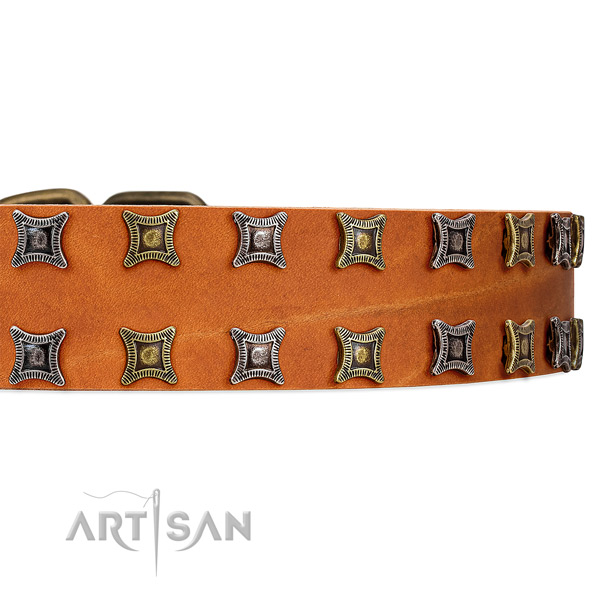 Amazing tan leather collar with two rows of gorgeous studs