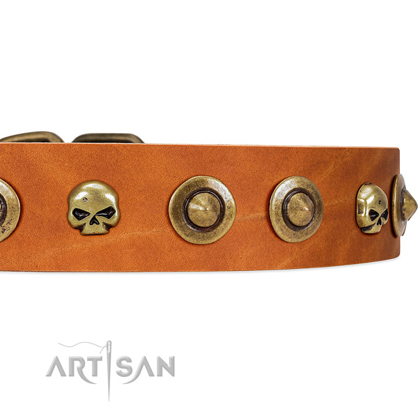 FDT Artisan tan leather dog collar with decorative brooches and skulls