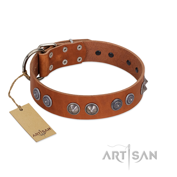 Fabulous FDT Artisan leather dog collar