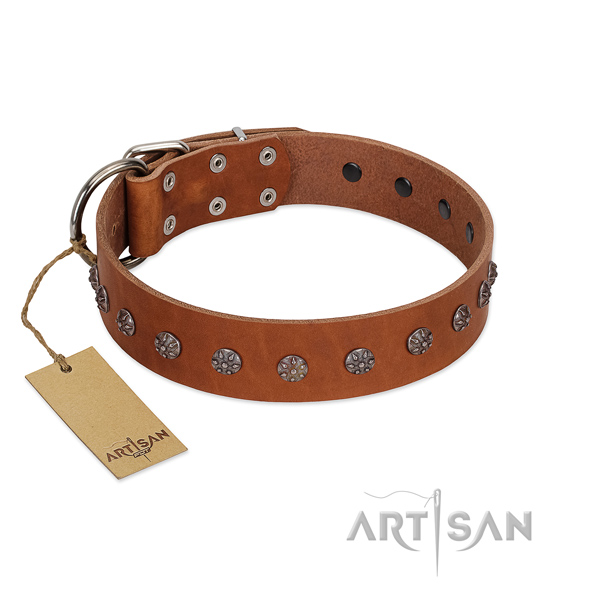 Fabulous FDT Artisan leather dog collar