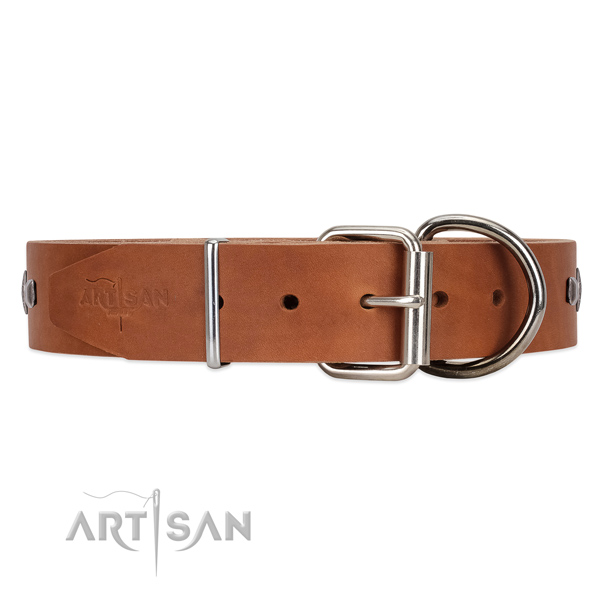 Leather dog collar with chrome plated hardware