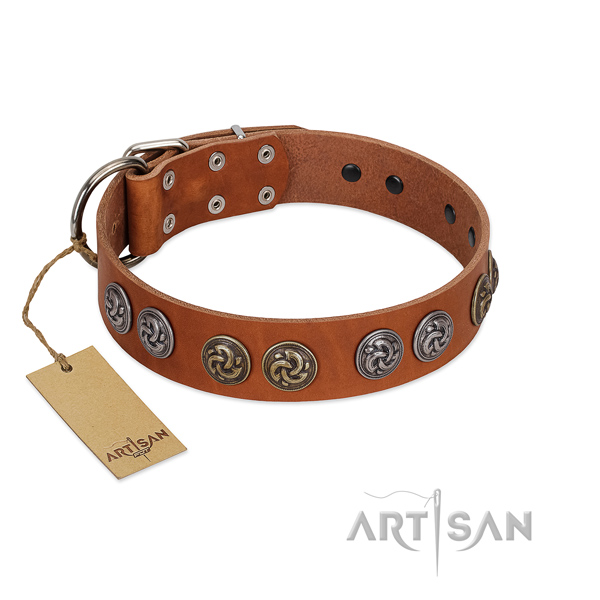 Fabulous FDT Artisan leather dog collar