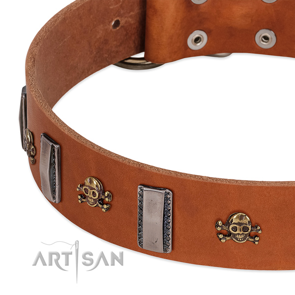 Tan leather dog collar with vintage decorations