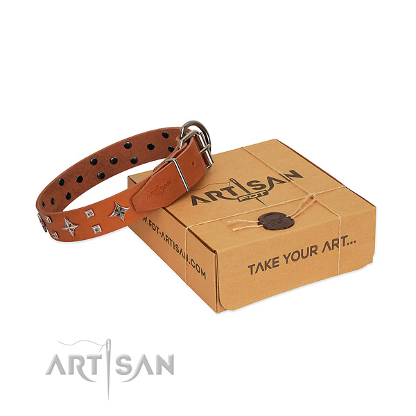 Fascinating tan leather dog collar for pleasant daily wear